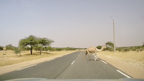 From St. Louis via Doubei and Badgad to Nouakchott [Day #10:&nbsp;11.10.2023]