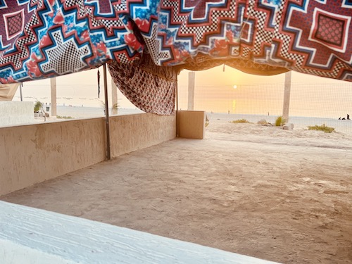 Will we see Alex tonight at the airport disembarking?? [Day #48,&nbsp;18.11.2023]