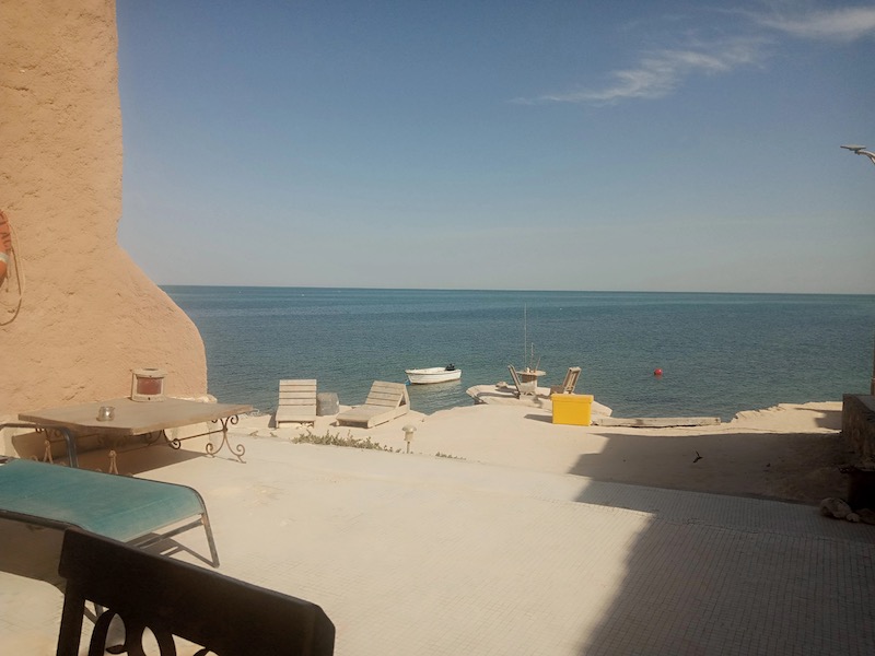 Eaten Alive [C&T, Day # 43:&nbsp;28.11.2023]