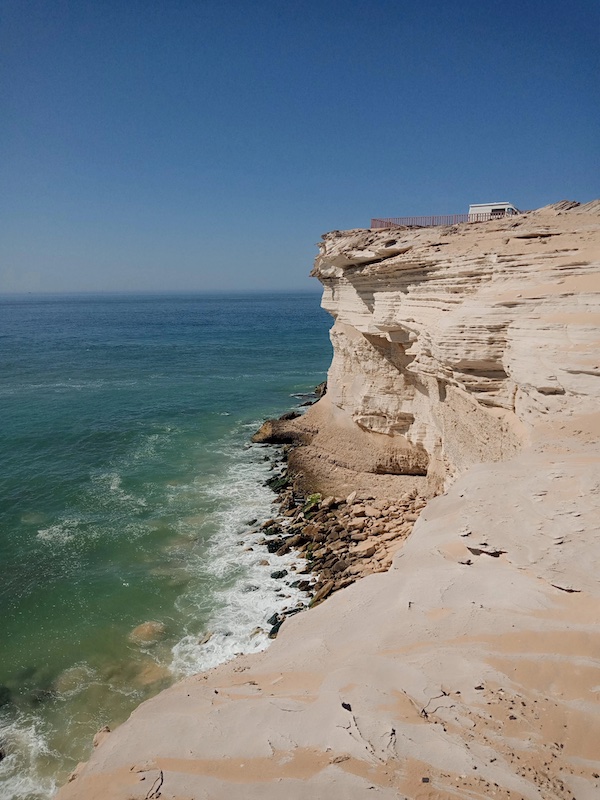 Flies, flies and more flies [C&T, Day # 44:&nbsp;29.11.2023]